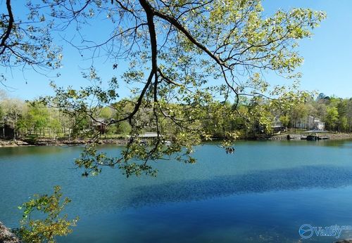 Lot 7 Bull Branch Dr, Double Springs, AL, 35553-5066 | Card Image