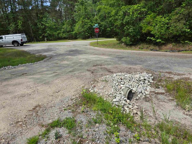 View of asphalt road with traffic signs and a forest view | Image 8