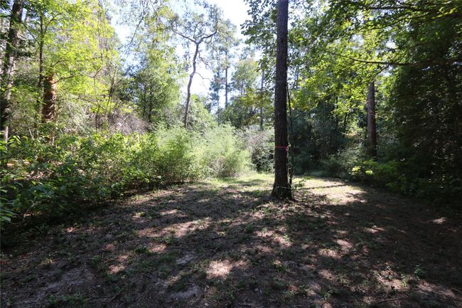 18156 State Highway 87 S, Home with 0 bedrooms, 0 bathrooms and null parking in Call TX | Image 5
