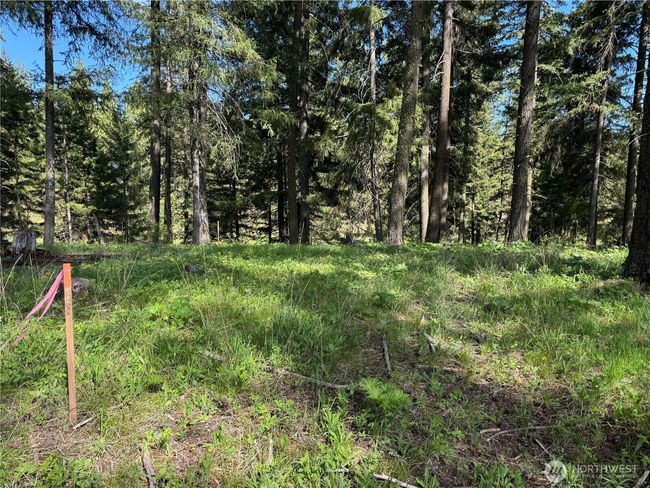 0 Kokanee Loop, Home with 0 bedrooms, 0 bathrooms and null parking in Cle Elum WA | Image 6