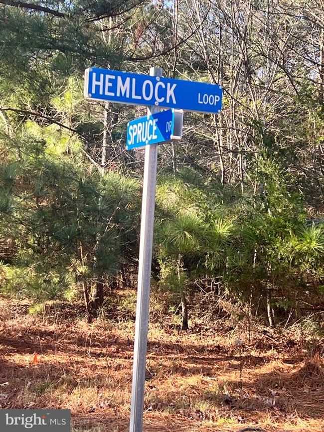 79 Hemlock Loop, Home with 0 bedrooms, 0 bathrooms and null parking in MINERAL VA | Image 6