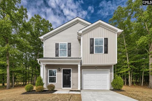 116 Black Dog Drive, Gaston, SC, 29053 | Card Image