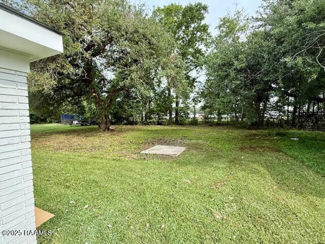 Backyard | Image 15
