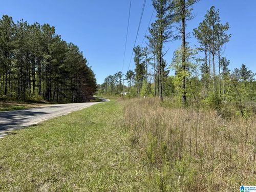 3-Tract 3 County Road 268, Roanoke, AL, 36274 | Card Image