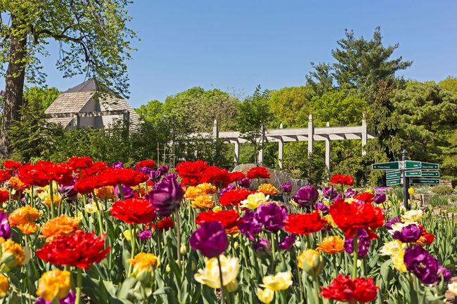 MN Landscape Arboretum | Image 58