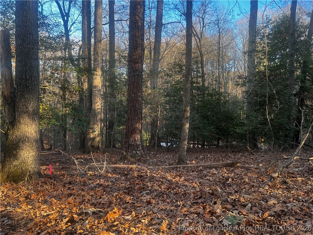 Land in Sanford 4