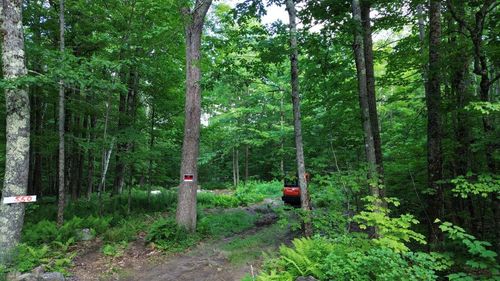 550 Kings Hwy, Stoddard, NH, 03464-4010 | Card Image