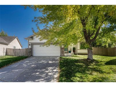 3377 Holly Hock Ct, House other with 4 bedrooms, 2 bathrooms and null parking in Castle Rock CO | Image 1