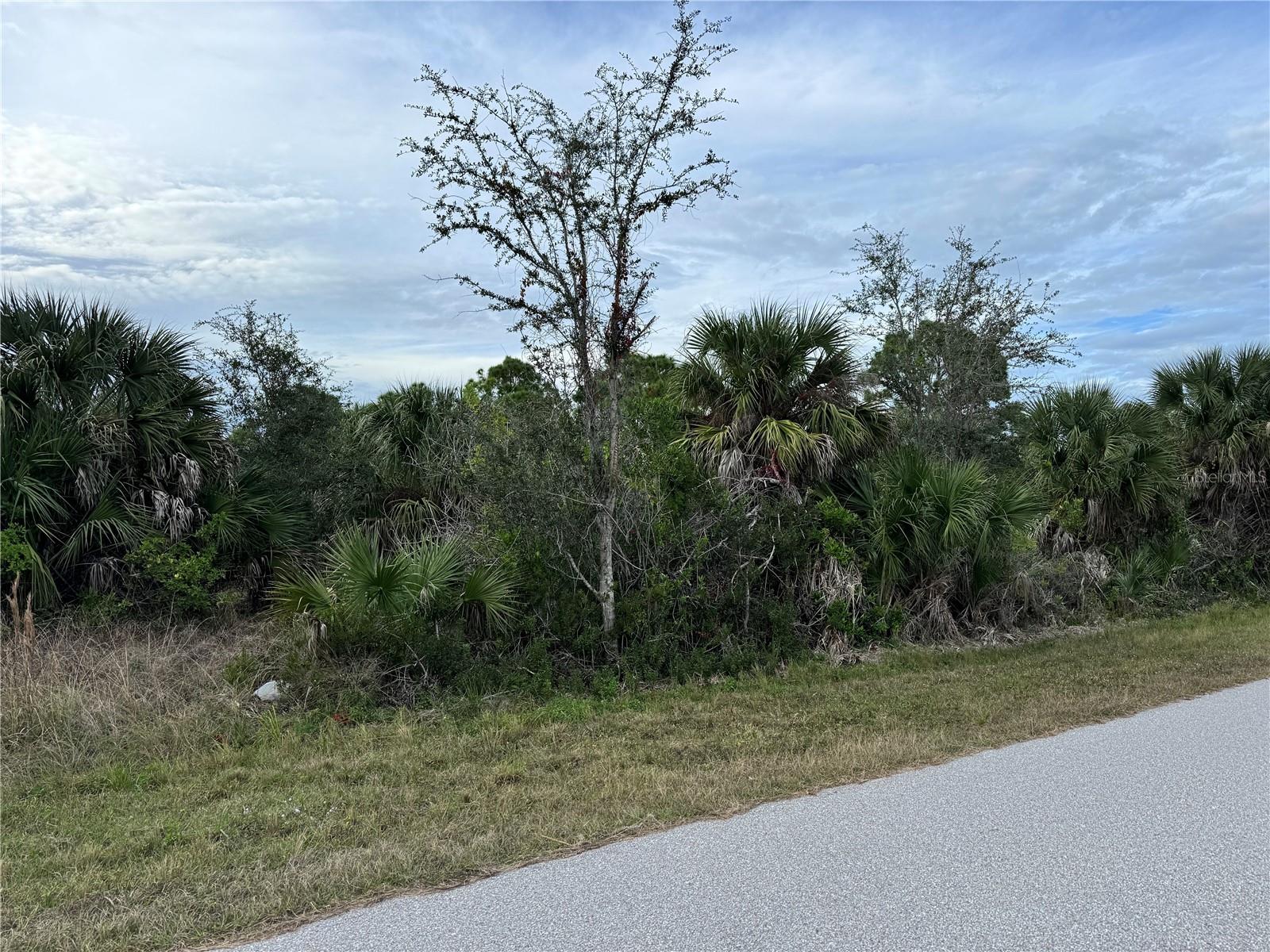 Land in PORT CHARLOTTE 2