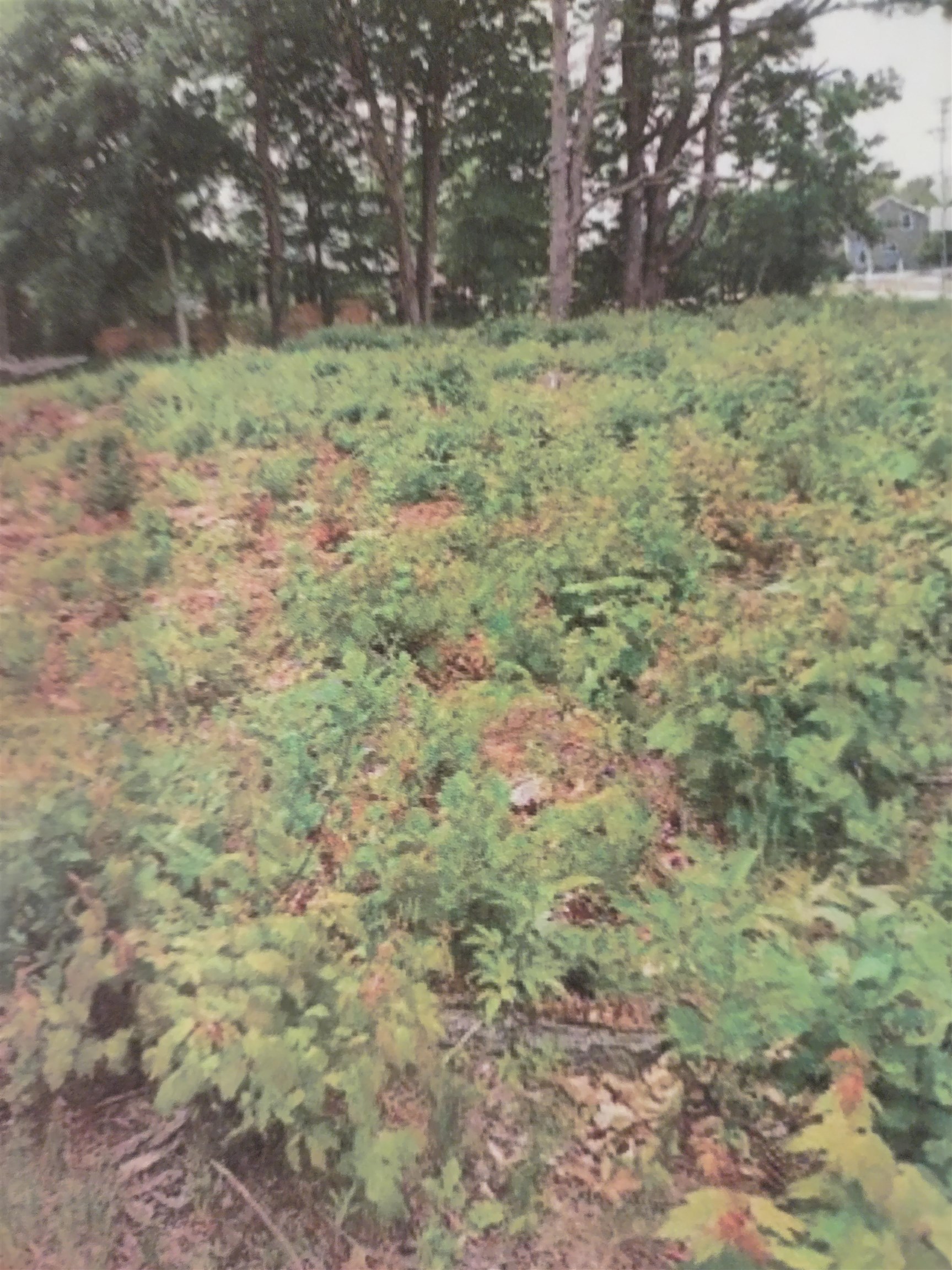 192p/104/1 32 Village, Sold in Concord Zoocasa