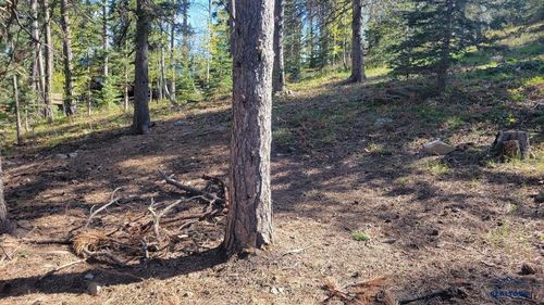 TBD Whitetail Dr, Lead, SD, 57754 | Card Image