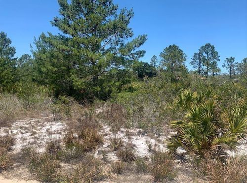 2918 W Gaffney Rd, Avon Park, FL, 33825-6205 | Card Image