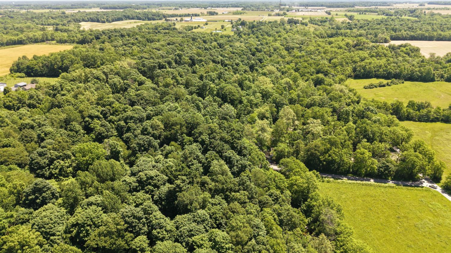 Land in Versailles 4
