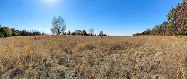 11999 - 11201-11999 Se 700 Rd, Home with 0 bedrooms, 0 bathrooms and null parking in Weaubleau MO | Image 23