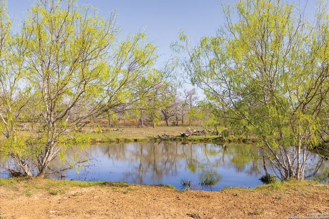 343 Batey Rd, Home with 3 bedrooms, 2 bathrooms and null parking in Nixon TX | Image 23