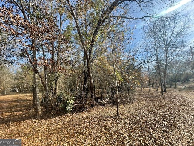 0 Oakland Heights Rd, Home with 0 bedrooms, 0 bathrooms and null parking in Sylvester GA | Image 9