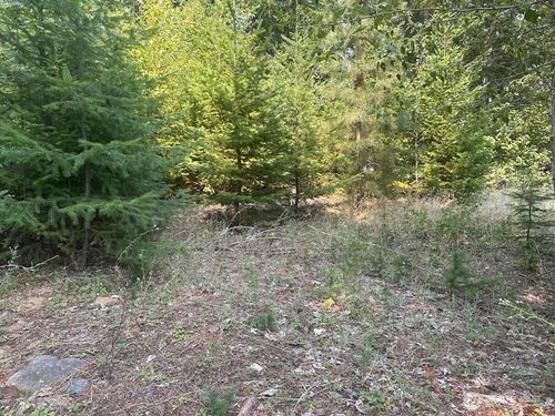 0 XX Spy Glass Pl, Cle Elum, WA, 98922 | Card Image