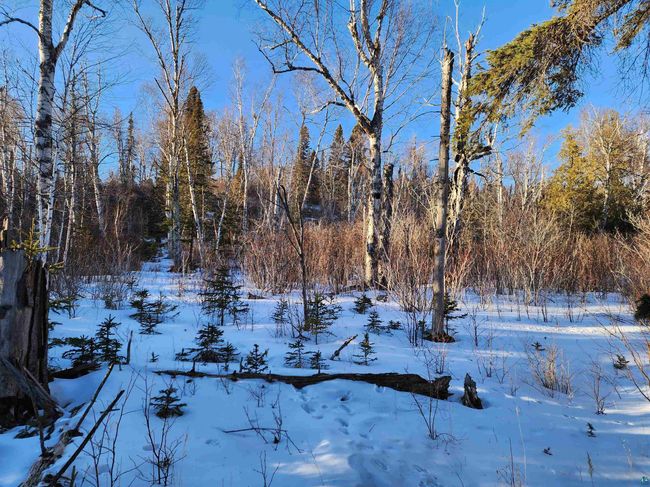 XX-2 Hoaglund Dr, Home with 0 bedrooms, 0 bathrooms and null parking in Tofte MN | Image 15