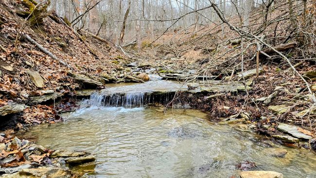 5900 S County Road 700 E, Home with 0 bedrooms, 0 bathrooms and null parking in Dillsboro IN | Image 22