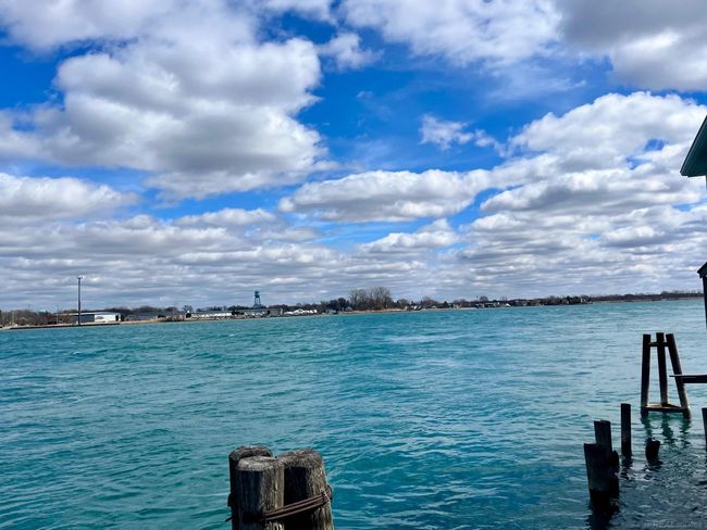 50169615-8f3341ff-a228-4f8a-a4aa-20b45cab29da.JPG | Image 6