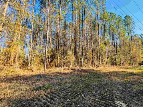 Lot 21 Highway 449, Pine Grove, LA, 70453 | Card Image