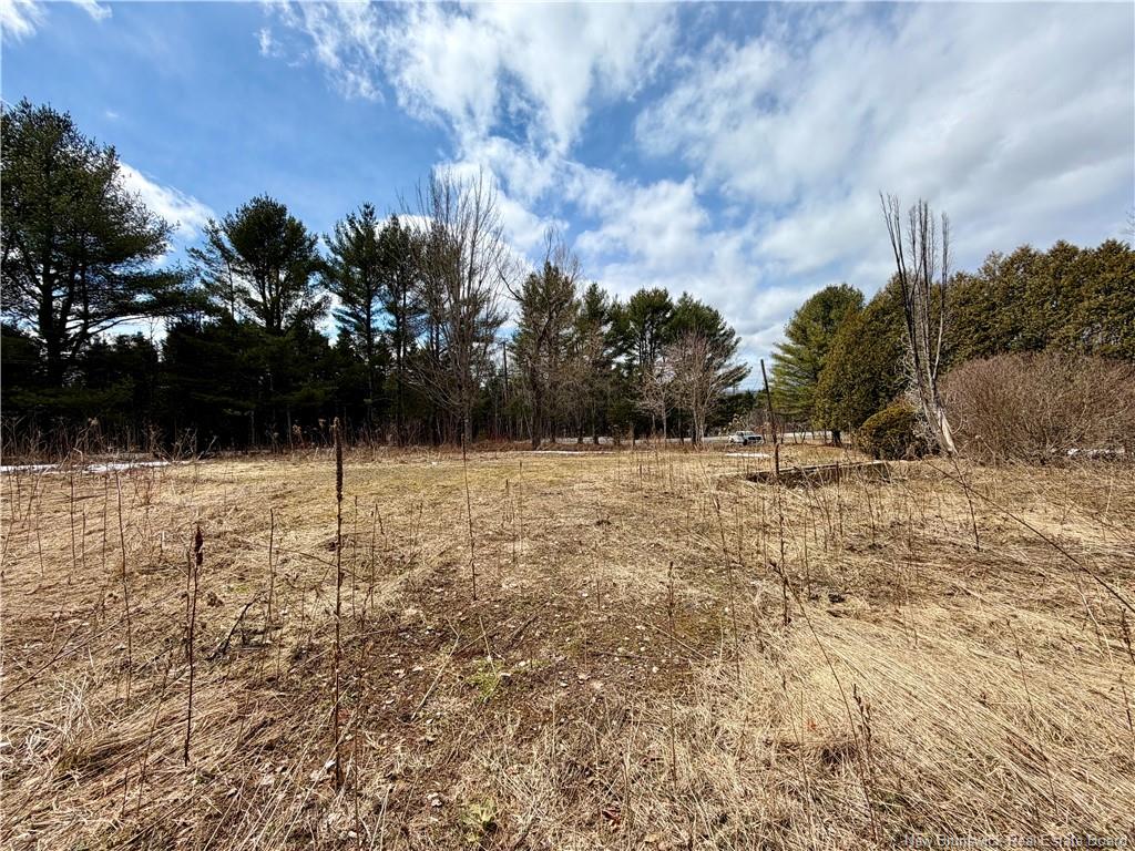 Land in Beechwood 2