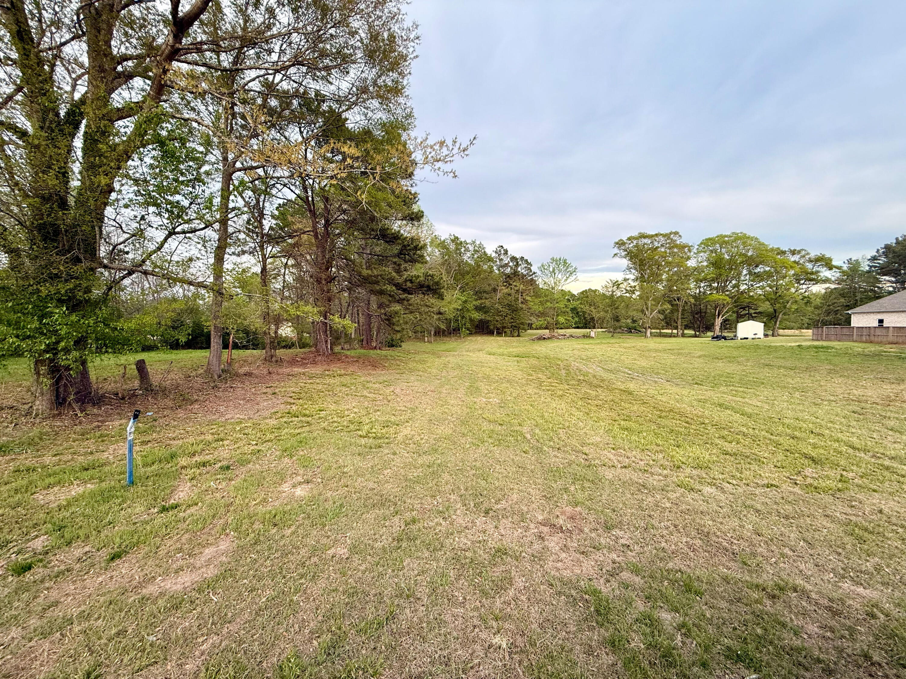 Land in Saltillo 2