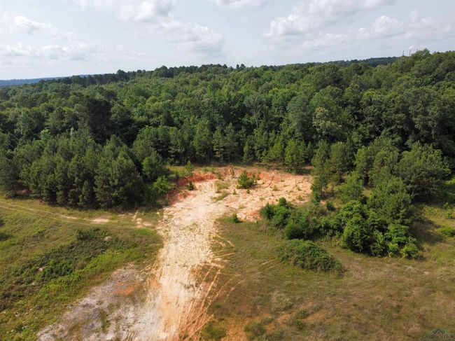 0000 State Highway 43 E, Home with 0 bedrooms, 0 bathrooms and null parking in Tatum TX | Image 8