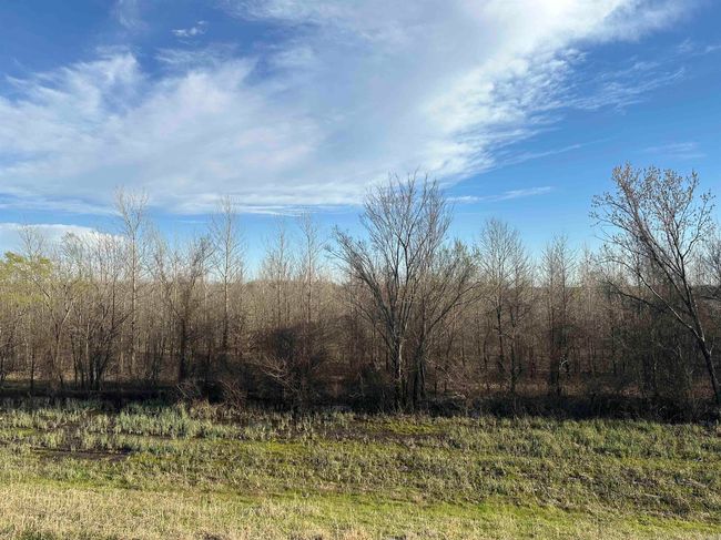 00 Ridgeview Rd, Home with 0 bedrooms, 0 bathrooms and null parking in Bradford AR | Image 19