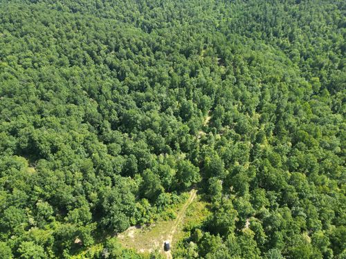 0 Black Bear Trail Rd, Linden, TN, 37096 | Card Image