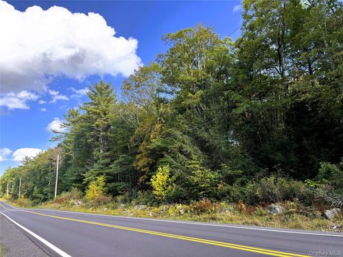 14 Crystal Lake Rd, Co Hwy 26, Bethel, NY, 12720 | Card Image