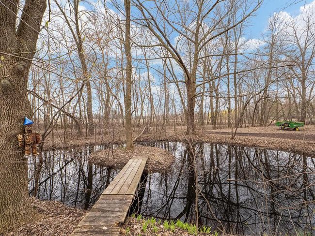 28925 Durant St NE Isanti MN 55040 USA-032-037-Pond-MLS_Size.jpg | Image 32