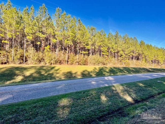 Lot 2-RS Hwy 182, Home with 0 bedrooms, 0 bathrooms and null parking in Jay FL | Image 16