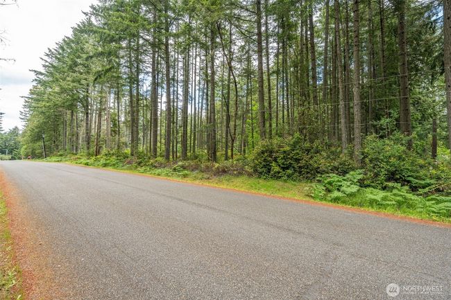 10409 Tahoma Dr, Home with 0 bedrooms, 0 bathrooms and null parking in Anderson Island WA | Image 4