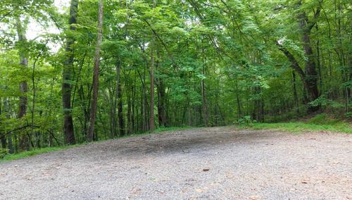 LOT 170 Forest Ridge Trl, FORT VALLEY, VA, 22652 | Card Image