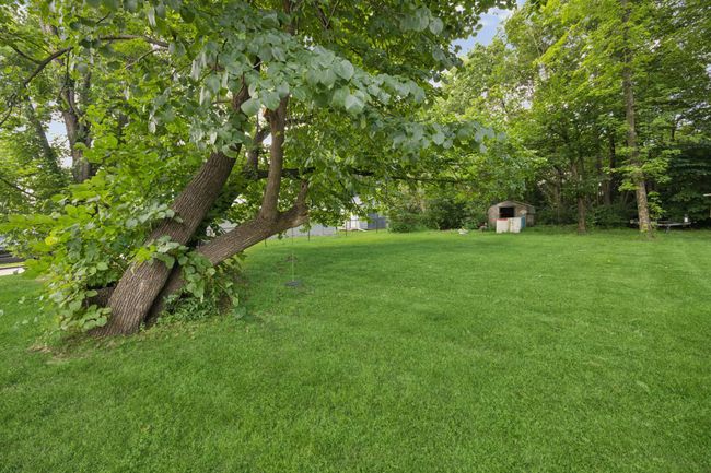 the lot across the street is included.. excellent flat space | Image 4