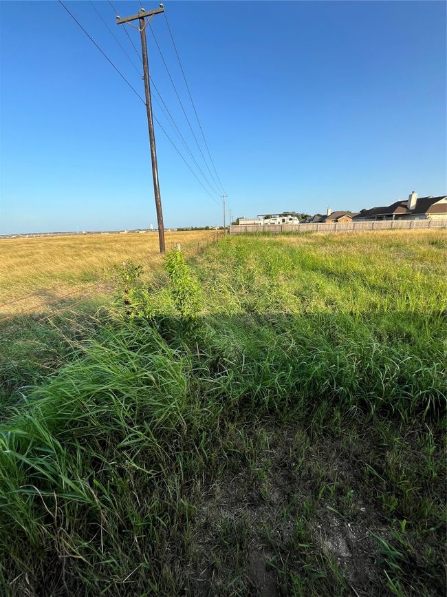 View of yard | Image 4