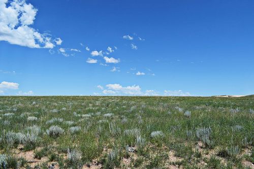 6-lot 36 Estancia Ranchettes, Moriarty, NM, 87035 | Card Image