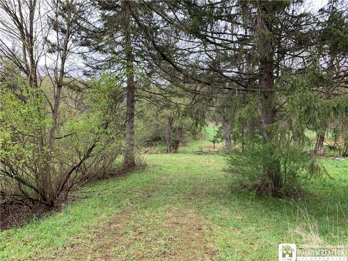 6805 Poverty Hill Rd, Ellicottville, NY, 14731-9752 | Card Image
