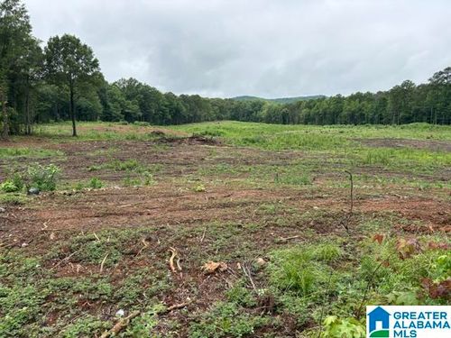 0-13 acres Highway 280, Sylacauga, AL, 35151 | Card Image