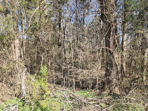 1817 Little Marrowbone Rd, Ashland City, TN, 37015-4023 | Card Image