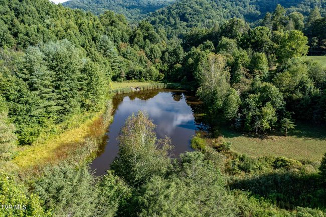 306 Bear Branch Rd, Home with 0 bedrooms, 0 bathrooms and null parking in Roan Mountain TN | Image 38