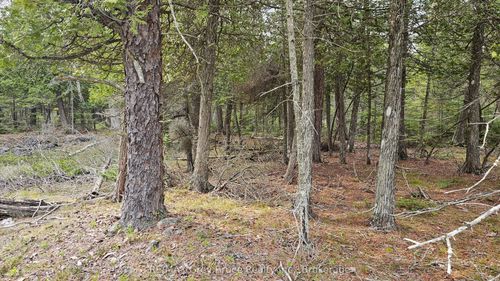 LT 255 Pedwell Pt Dr, Tobermory, ON, N0H2R0 | Card Image