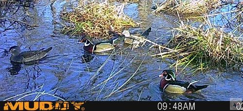 0 Cr 1120/1121, Atlanta, TX, 75551 | Card Image