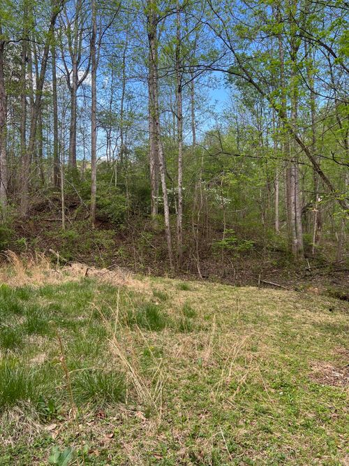 332 Terrace Rd, Boones Mill, VA, 24065-4914 | Card Image