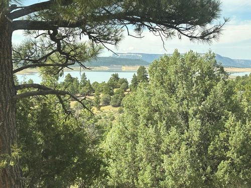 000 Canyon Road, Los Ojos, NM, 87551 | Card Image