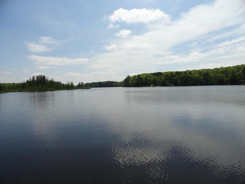 18 Bear Lake Rd, Laona, WI, 54541 | Card Image