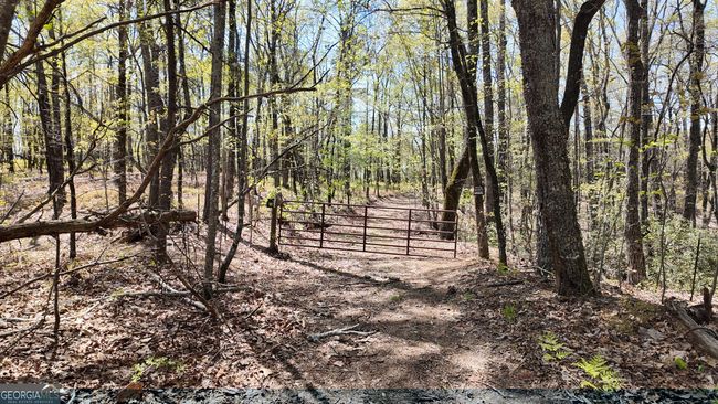 LOT 19 Heyden Ridge Dr, Home with 0 bedrooms, 0 bathrooms and null parking in Clarkesville GA | Image 9