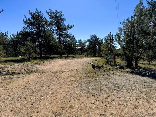 126 Zion Ct, Hartsel, CO, 80449 | Card Image