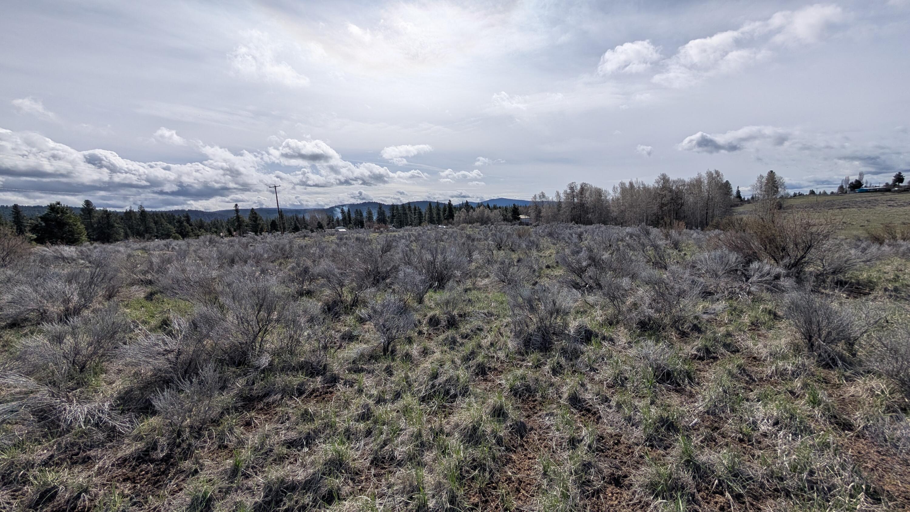 Land in Chiloquin 3